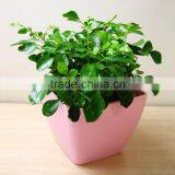 Square Office Table Plastic Flower Pot thumbnail-2