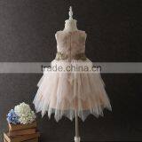 Trending Dress Champagne Bridal Pictures of Latest Gown Design Party Dress thumbnail-3