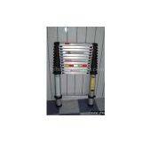 Extension Ladder thumbnail-1