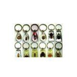 Insect Teaching Aid Suit,insect Key Chains,insect Bracelets,insect Neckalce