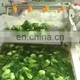 Fruit Apple Washer Seafood Washer Vegetable Washing Machine Price