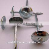 Shandong Manufacturer Zinc Coated Galvanized Roofing Nails Quality Choice thumbnail-2