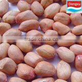 Chinese Peanut Kernels 50/60