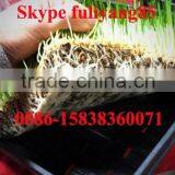 Commercial Greenhouse/hydroponic Barley Grass Grow Machine thumbnail-4