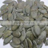 Agriculture Different Types of Pumpkin Seeds Kernel& Pumpkin Seeds GWS /Dark Green Pumpkin Seeds Grown Without Shell thumbnail-2