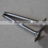 Valve for Car Engine