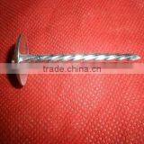 2"x9bwg Galvanized Roofing Nails With Umbrella Head thumbnail-6