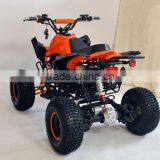 Shaft Drive Powerful Electric Quads With 800W Bushless Motor thumbnail-4