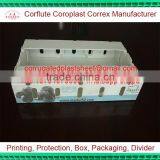 Double Wall Corrugated Blueberry Packaging Boxes