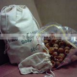 Soap nuts shell Wholesale
