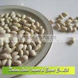High Quality Dry Japanese Type White Kidney Beans Wholesale thumbnail-1