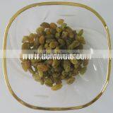 Best Price Top Quality Seeded  Raisin(golden,green,sultana,sun Dried) thumbnail-4