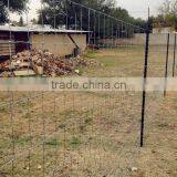 Hinge Joint 2mm Diameter 813mm Height 50m Length Grassland Field Wire Mesh Forest Fencing