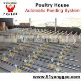 Poultry Automatic Feeding Drinking System for Chicken Brolier thumbnail-2