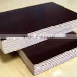 FIM FACED PLYWOOD, HARDWOOD CONSTRUCTION, BUILDING MATERIAL, TIMBER, SHUTTERING BOARD