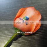New uv Flatbed Printer/small Printer/printer for Flower thumbnail-6