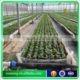 Line Irrigation Belt thumbnail-3