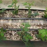 Arrow Dripping Irrigation System for Greenhouse thumbnail-1