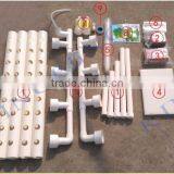 Home Used Indoor Growing Vegetable thumbnail-3