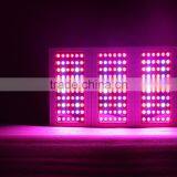 Full Spectrum Led Grow Light Bulb Full Spectrum 360w Panel Grow Led Light Led Grow Equal 600w Hps Led Grow Light thumbnail-4
