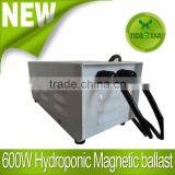 600W Grow Light Hid HPS Magnetic Ballast for Hydroponics Plant Growth thumbnail-1
