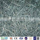 Common Nail Price of Iron Nail Factory thumbnail-6