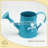 2016 hot sale new style metal watering can crafts