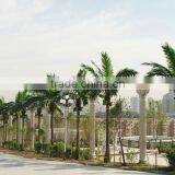 Chinese Fake Coconut Tree Decoration Hotle Manufacture Longlife Time Artificial Outdoor Palm Trees thumbnail-2