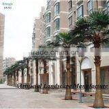 Outdoor Tropical Decorative Palm Trees/hugh Indoor Decorative Palm Tree thumbnail-6