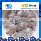 Frozen Whole Cleaned Baby Octopus From Better Supplier thumbnail-1