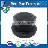 Made in Taiwan Various Type of Cap Nut thumbnail-3