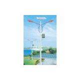 Solar Street Lights thumbnail-1