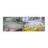 Coconut Washing Machine/Coconut Washer/watermelon Washer/fruit Washer thumbnail-3