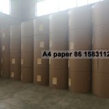 A4 paper 70g 75g 80g ,interested A4 copy paper buyers importers distribtors Joyce M.G Group Company Limited