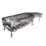 Efficient Vegetable and Fruit Sorting Machine/tomato Grader /orange Sorting Machine thumbnail-2