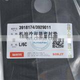 Hot Sale 6CT Oil Cooler Core Gasket 3918174 3929011 thumbnail-5