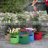 Felt Material Pots for Plants Flower thumbnail-1