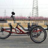 3 Wheel Reverse Recumbent Trike thumbnail-3
