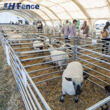 Durable Solid Sheep Panel System: Reinforced Sheet Metal Built to Last for Decades As Permanent Farm Infrastructure thumbnail-1
