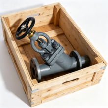 CB/T3841-1999 Listed Overboard Boiler Discharge Valve With 2-Year Warranty thumbnail-4