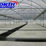 Agricultural Hydroponic Grow Greenhouse thumbnail-2