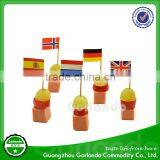 Custom Printing Country Flag Toothpicks, Party Flag Picks, Cocktail Flag Toothpicks thumbnail-1