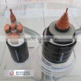 Shandong Xinhui Yanggu Cable Co., Ltd. company overview - view 4 thumbnail