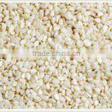 Hulled WaterMelon Seeds thumbnail-2