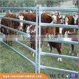 Australia Hot Dipped Galvanized Cattle Panel In Farm (Factory Trade Assurance)