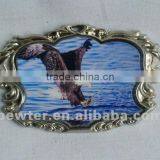 2012 Eagle Metal Fridgemagnet 0070