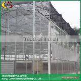 Multi-span Polycarbonate Greenhouse Commercial Greenhouse for Sale thumbnail-2