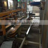 Case Packaging Machine for Salt Bags thumbnail-6