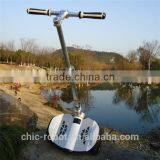 Personal Vehicle, Electric Chariot, Two Wheels Self Balancing Scooter