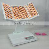 630nm Blue PDT-001 Led Freckle Removal      Pdt Beauty Machine 470nm Red thumbnail-2